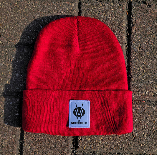 Ice Globe Beanie - Red